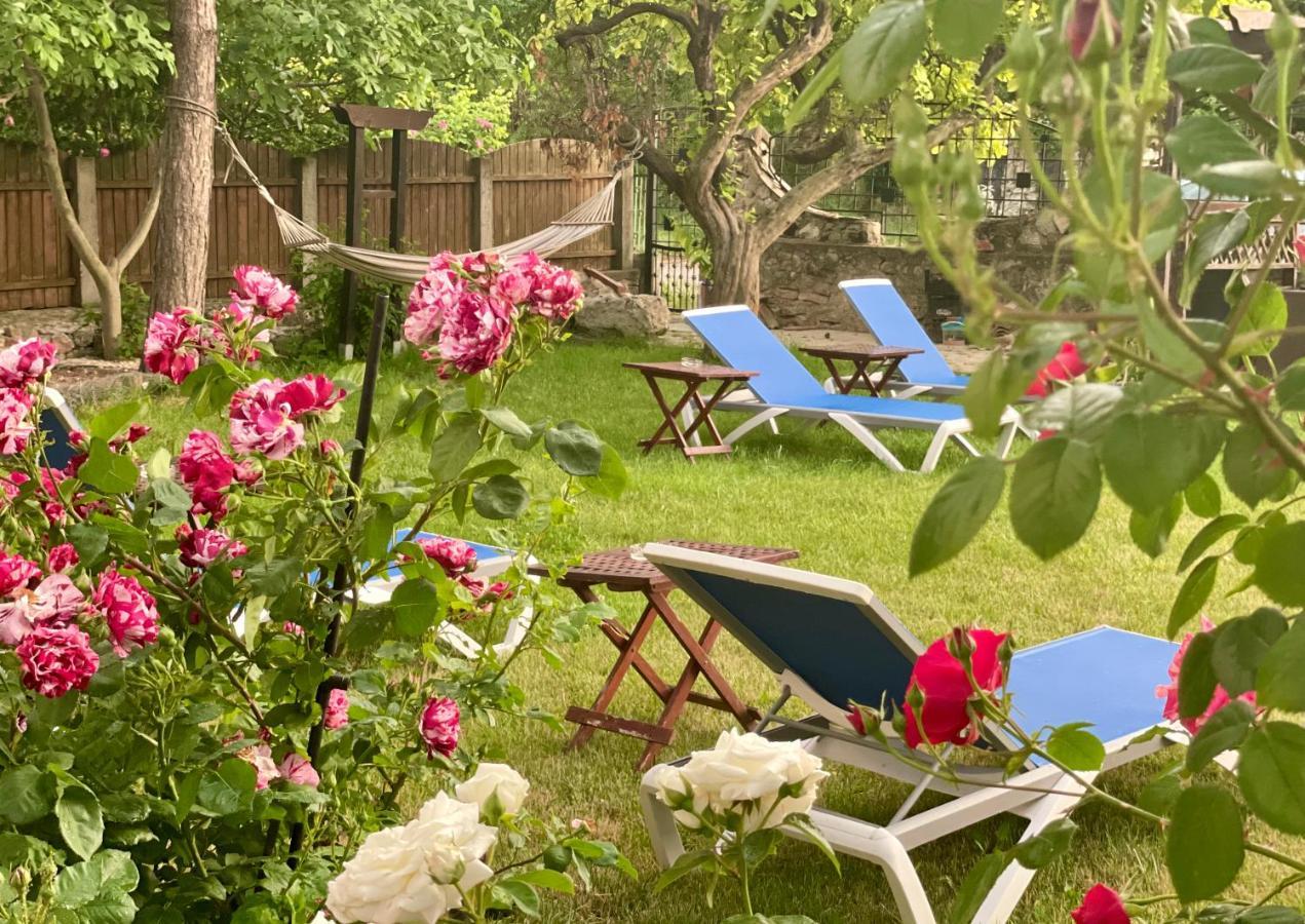 Vamabel House Bed & Breakfast Vama Veche Luaran gambar
