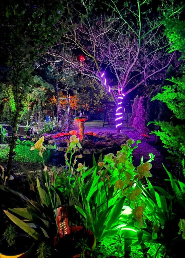 Vamabel House Bed & Breakfast Vama Veche Luaran gambar