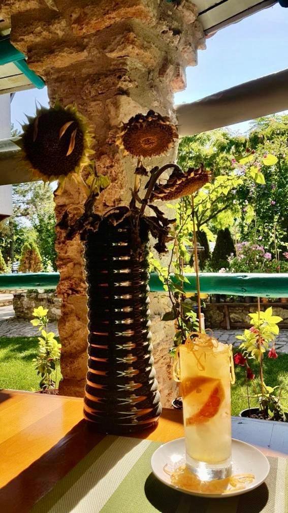 Vamabel House Bed & Breakfast Vama Veche Luaran gambar