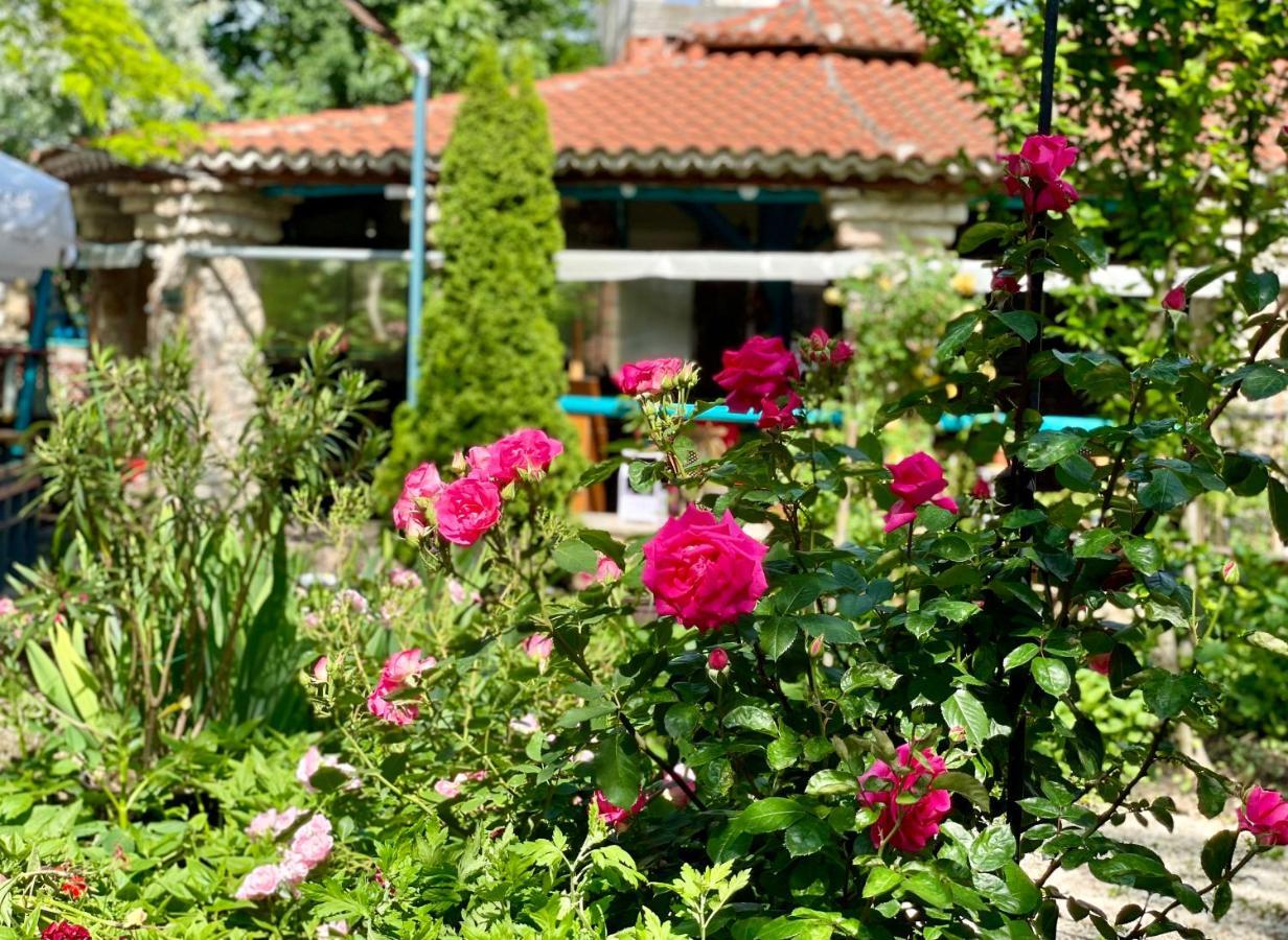 Vamabel House Bed & Breakfast Vama Veche Luaran gambar