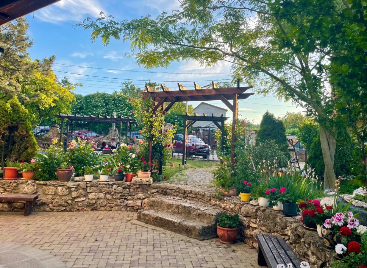 Vamabel House Bed & Breakfast Vama Veche Luaran gambar