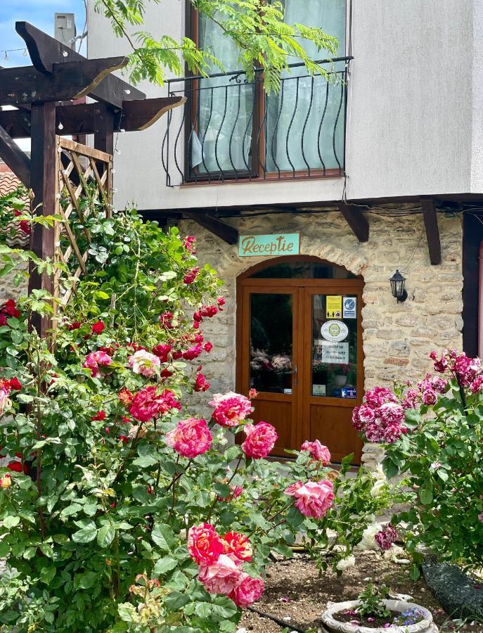 Vamabel House Bed & Breakfast Vama Veche Luaran gambar