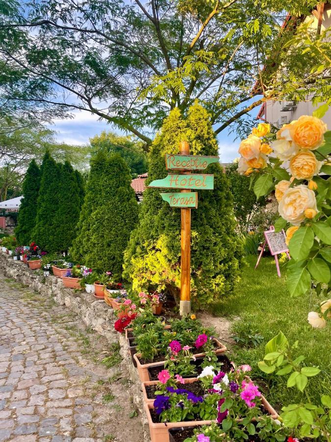 Vamabel House Bed & Breakfast Vama Veche Luaran gambar