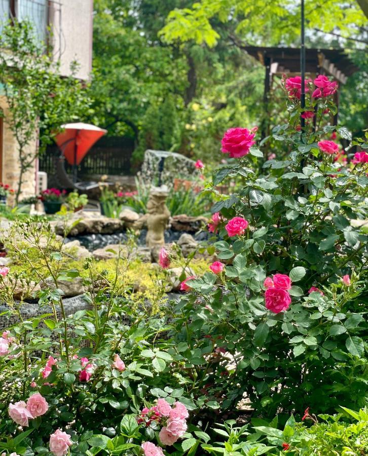 Vamabel House Bed & Breakfast Vama Veche Luaran gambar