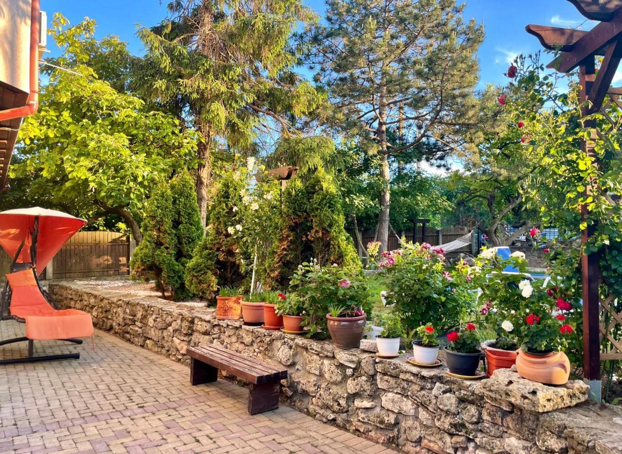Vamabel House Bed & Breakfast Vama Veche Luaran gambar